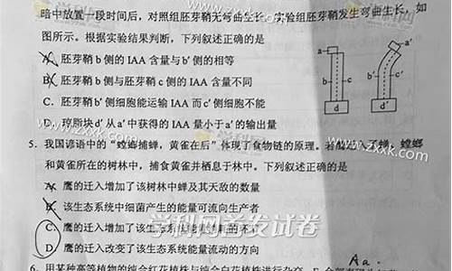 广西2016年高考数学理试卷,2016广西高考试题