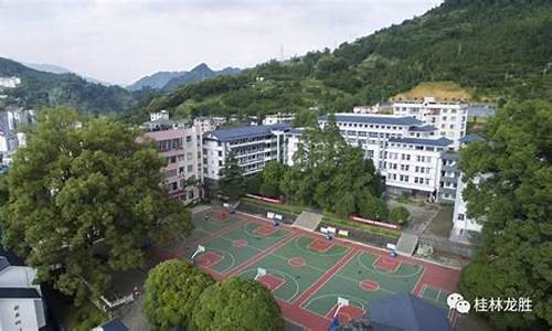 龙胜中学2020年高考成绩单_龙胜中学高考成绩