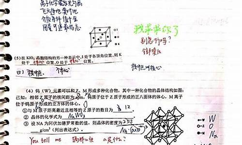 高考化学易错题集锦解析_高考化学易错题