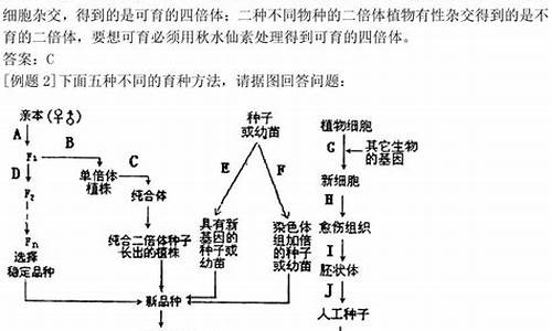 高考生物遗传复习,高中生物高考遗传题