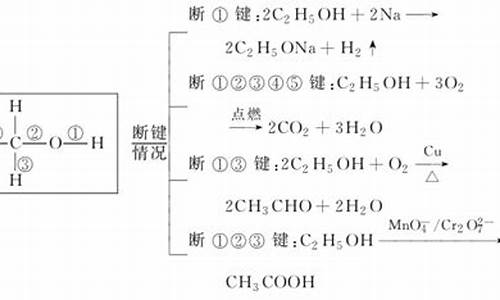 乙醇高考总结_乙醇高考考点