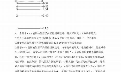 新高考卷山东版物理_山东新高考物理答案解析