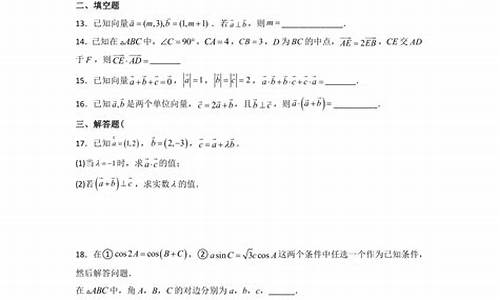 向量高考题及答案_向量高考题及答案数学